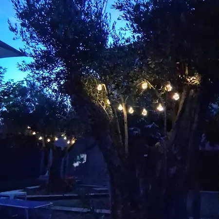 Дом отдыха Olive Garden Agios Pavlos (Chalkidiki)